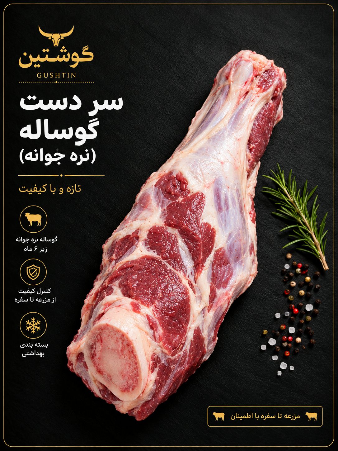 سردست گوساله (نره جوانه)